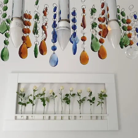 Mit Charme 公寓 纽伦堡